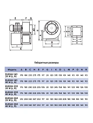 Вентилятор радиальный BURAN 200 220V Пр0 2полюс ERA PRO